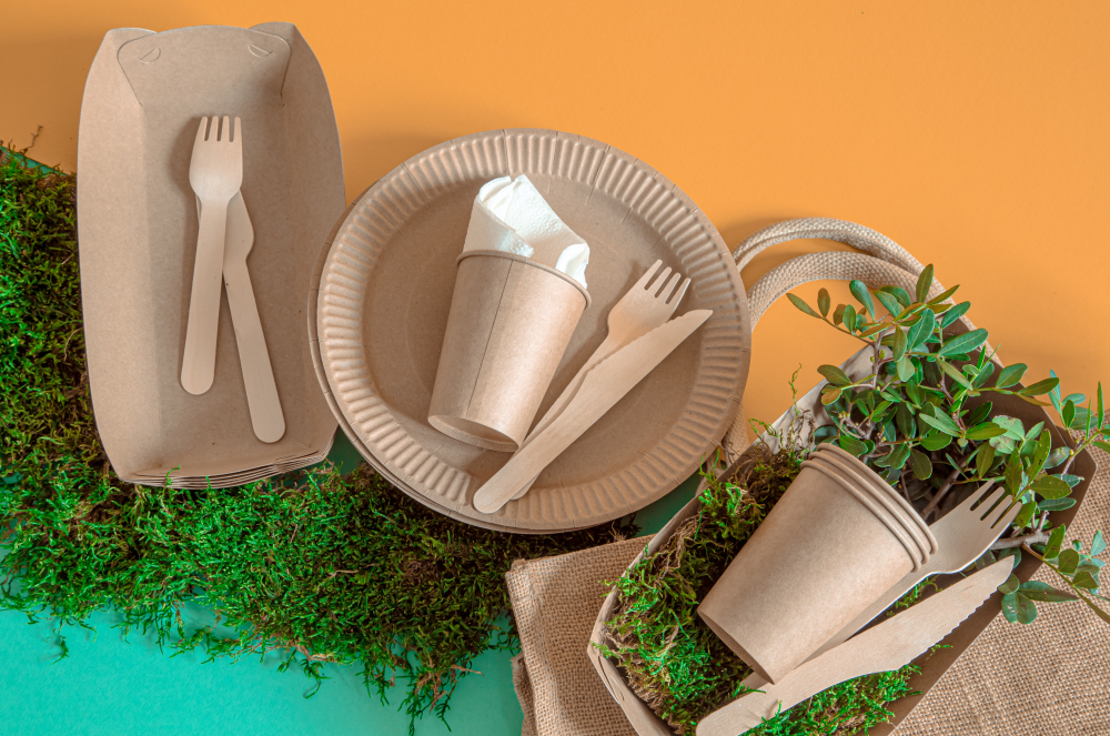 Vaisselle Jetable Compostable