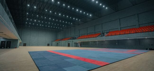 revêtements en dalles pour installations multisports
